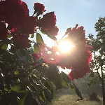 호텔 La Fonte 3*