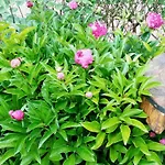 호텔 La Fonte Fontanafredda