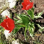 호텔 La Fonte Fontanafredda