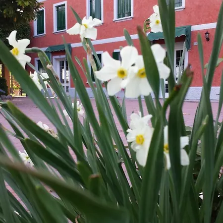 Bed & Breakfast La Fonte 3*