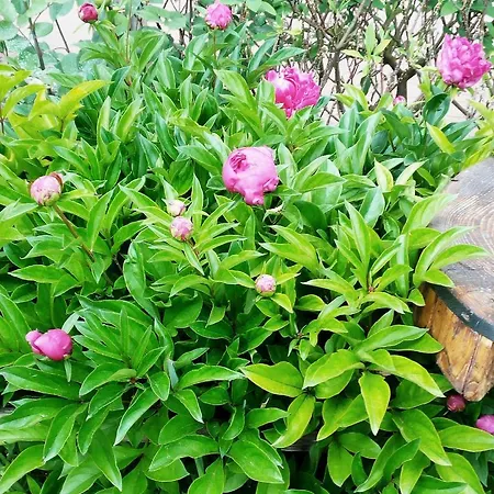 Hotel La Fonte Fontanafredda