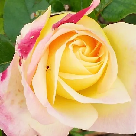 La Fonte Hotel Fontanafredda