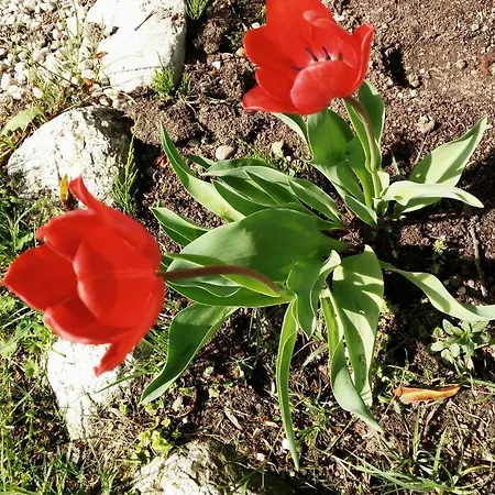 Ξενοδοχείο La Fonte Fontanafredda