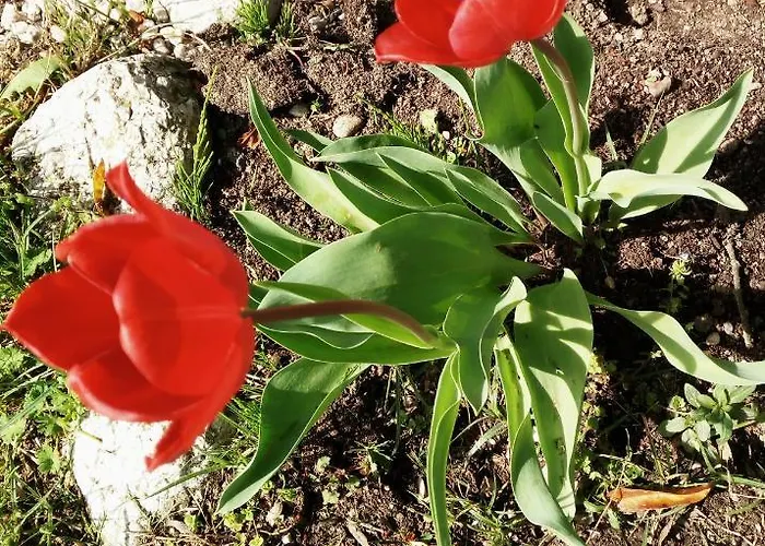 Hotel La Fonte Fontanafredda